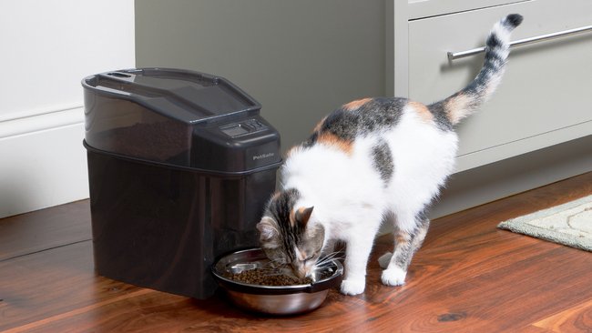 PetSafe Feeder PetSafe Feeder