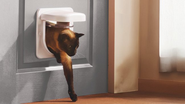 PetSafe Door PetSafe Door