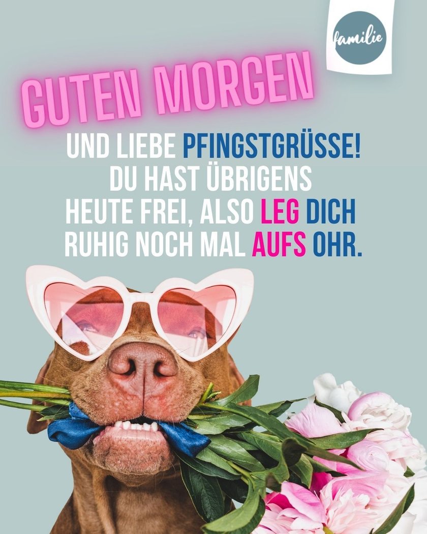 Whatsapp-Pfingstgrüße: Aufs Ohr