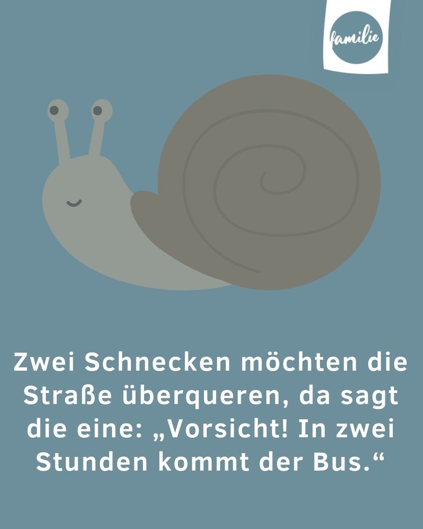 Erzähl mir einen Witz: Schnecken-Alarm