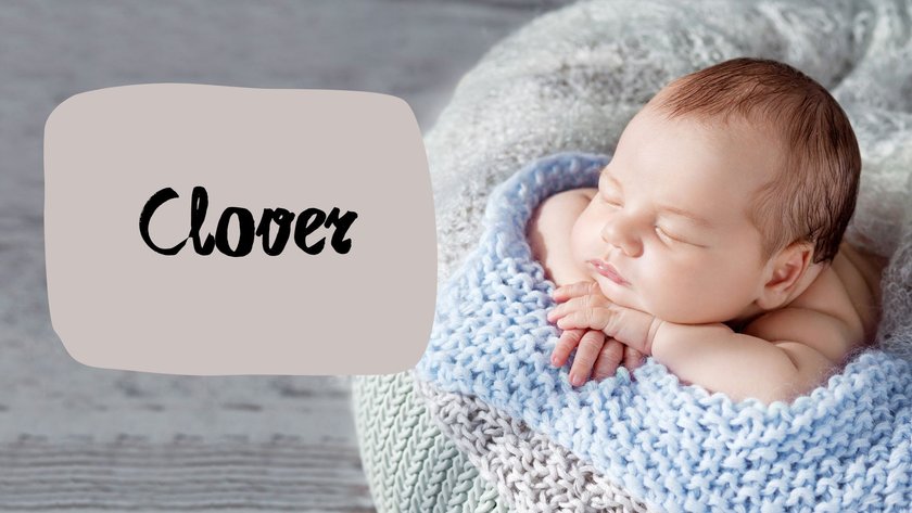 Namen, die Glück bedeuten: Clover