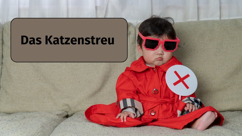 das Katzenstreu
