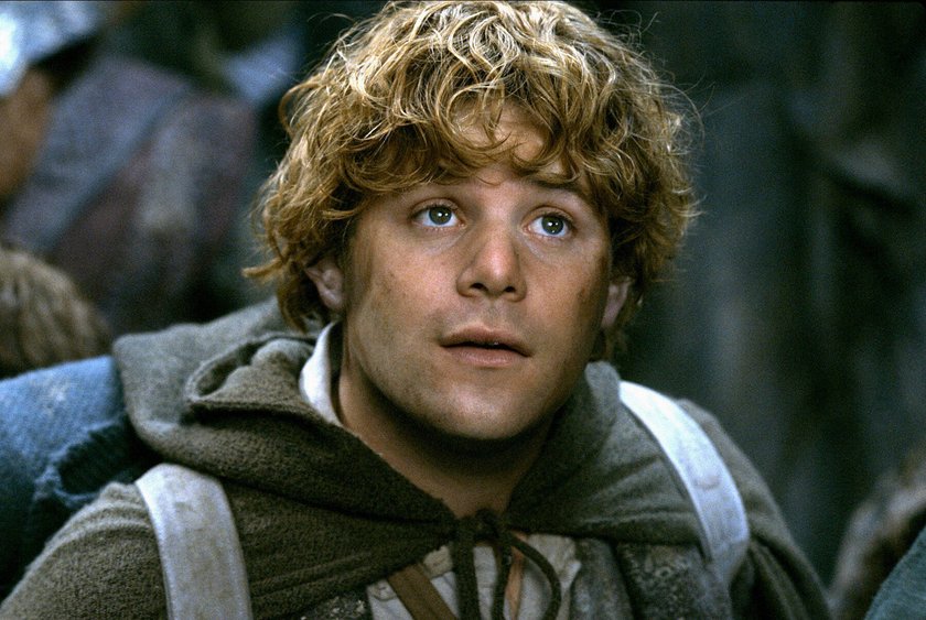 Samweis Herr der Ringe