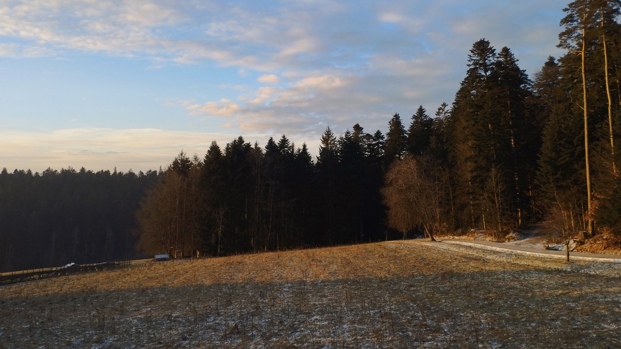 Blick aus dem Fenster der Mutter-Kind-Kurklinik in Loßburg im Schwarzwald 