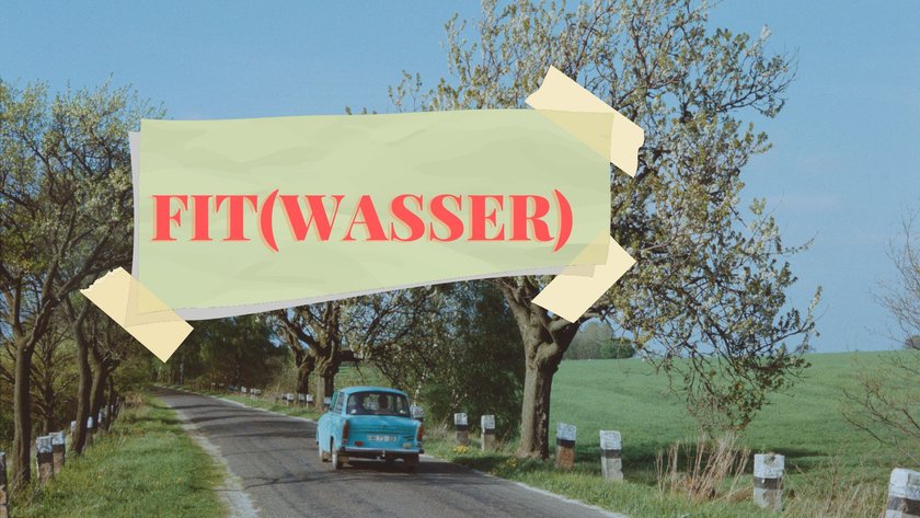 Wörter aus der DDR