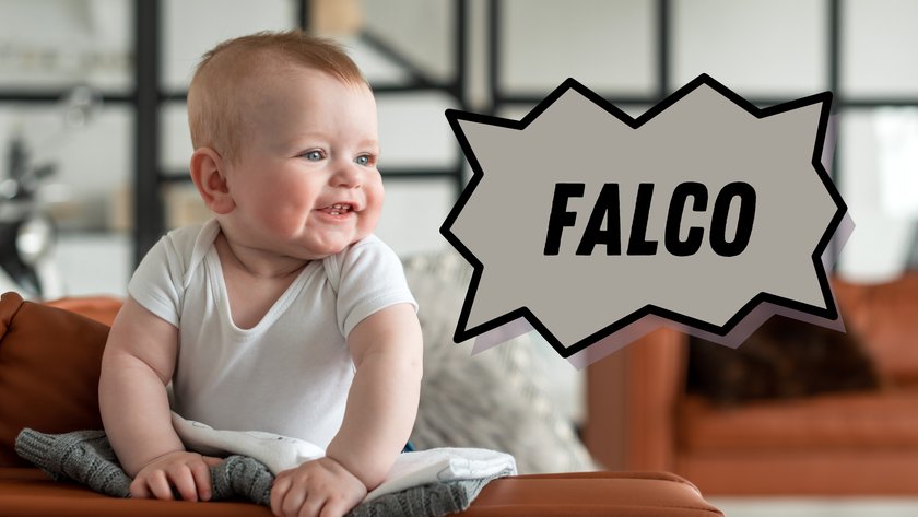 Name Vogelbedeutung Falco