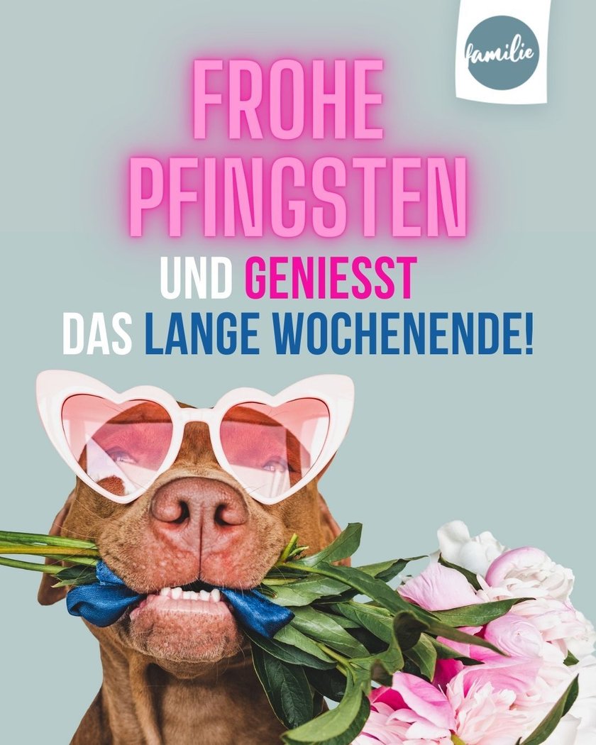 Whatsapp-Pfingstgrüße: Langes Wochenende