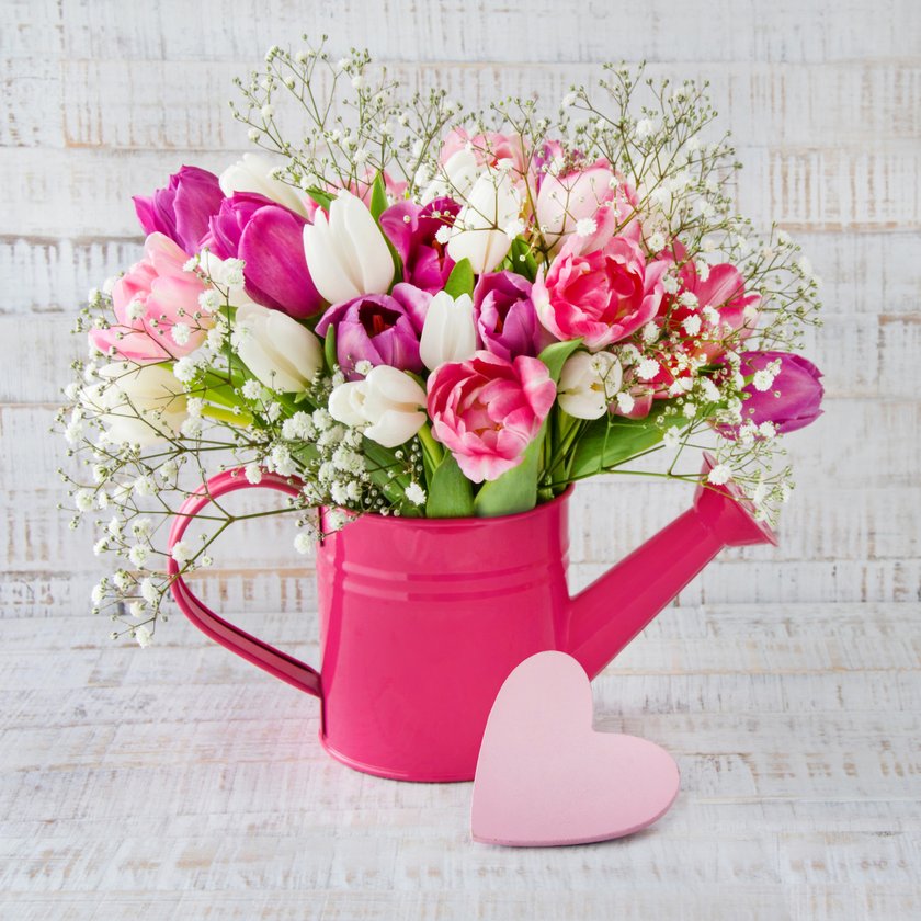 Blumen und ihre Bedeutung: Tulpe