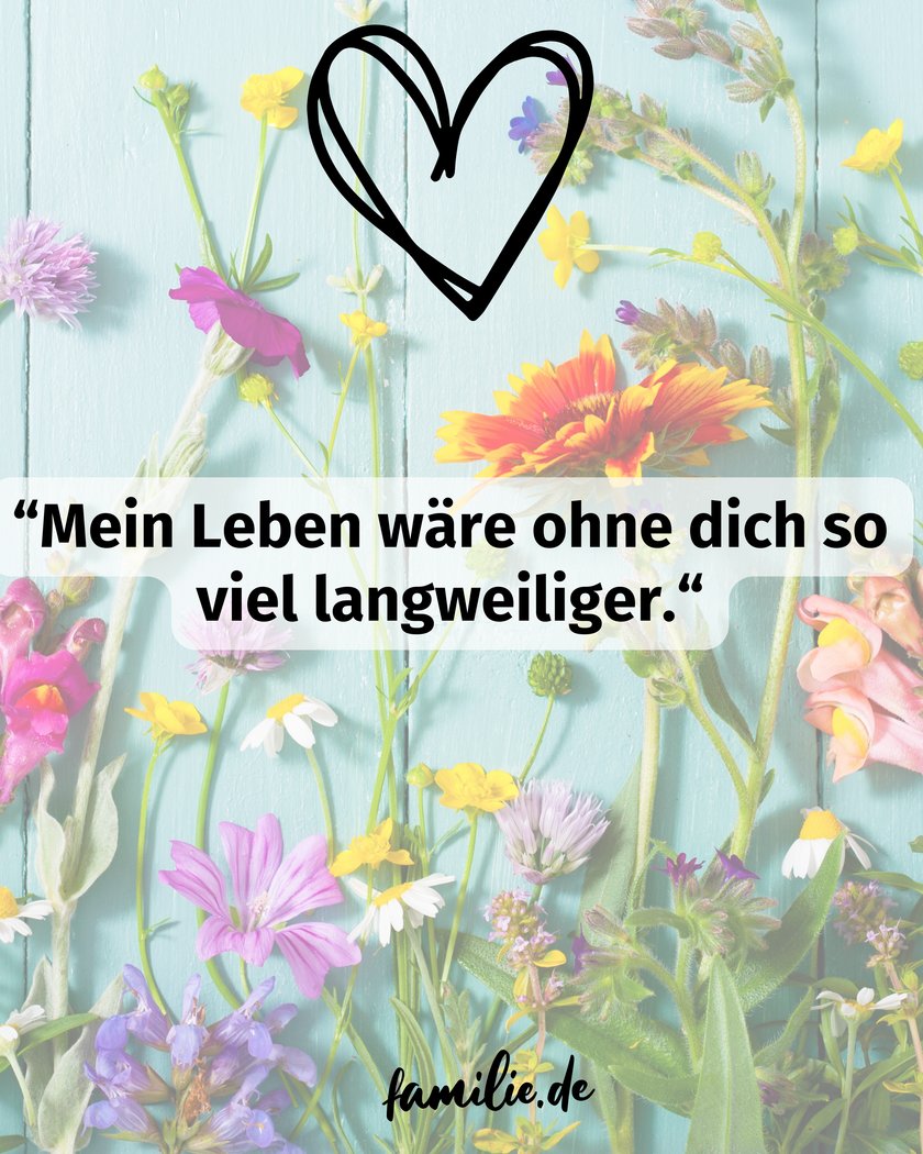 Komplimente Sprüche - 25