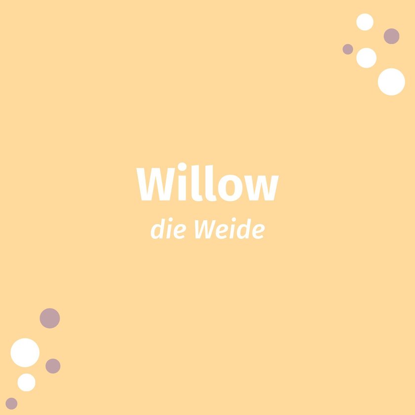 Willow
