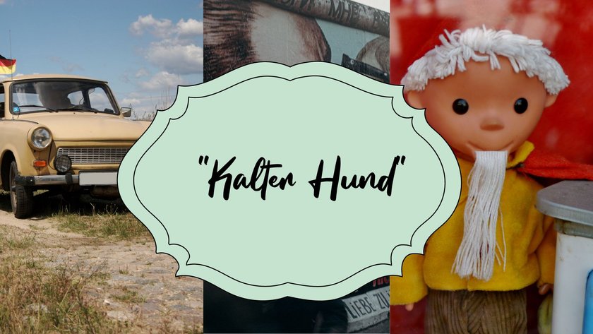 Du weißt, dass "kalter Hund" nichts mit einem Tier zu tun hat